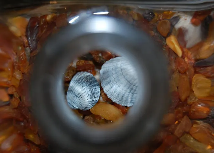 Διαμέρισμα Mill House *