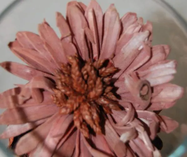 Апартаменти Mill House *